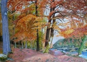Autumn, Strid Woods